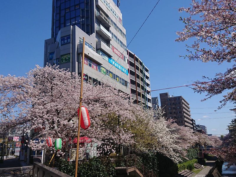 マーチャオアクエリアス多摩センター店 店内
